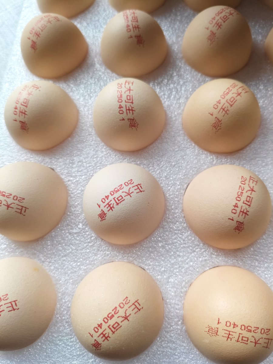 Jamonchen's tweet photo. Fresh organic veggies u0026 farm eggs restocked at our corner store! Grab yours before they’re gone https://t.co/q7169uAoXm