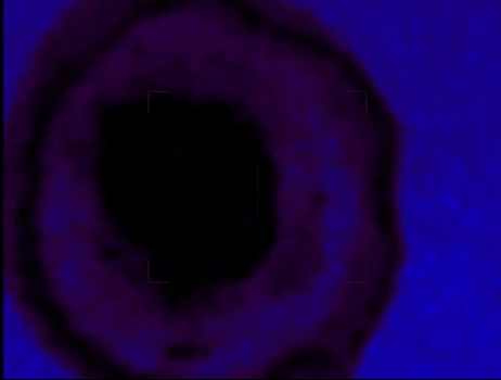uBF2fV1cVQxRjQo's tweet photo. From the CIA archives. This is an archive of satellite surveillance of Earth, 24 hours a day, 365 days a year.
The missing Malaysia Airlines Flight 17. There were 239 people on board.
This is actual footage of three military UFOs abducting the entire passenger plane. https://t.co/h2pDCIkmEu