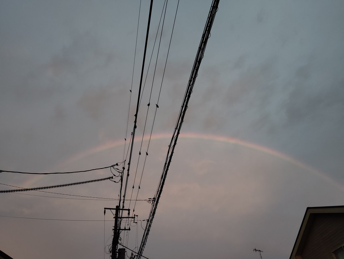 外に出たらまあ綺麗な 虹がかかっておりました