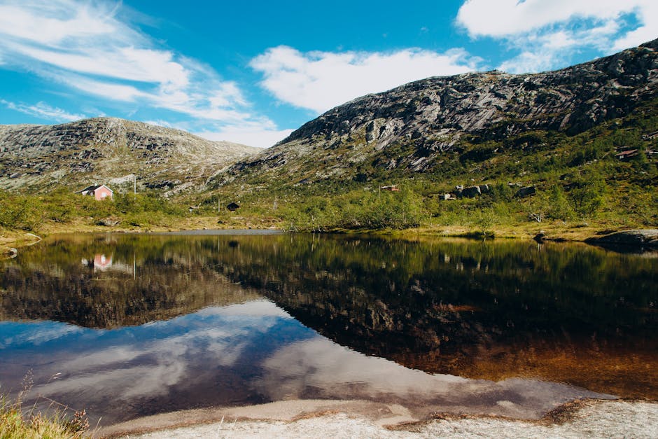 ChaneyInab23765's tweet photo. فقط المشاعر أن يزرع يمكن في ضوء القوة الداخلية الصباح. taryn torian🌠 https://t.co/UigV8DJFQI