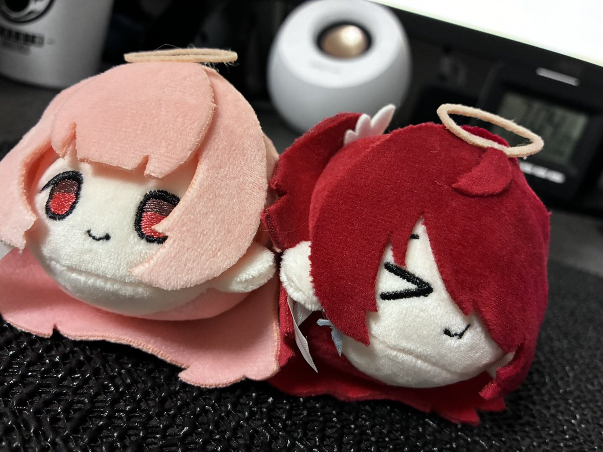 Bourbon929's tweet photo. もっちゅりん(アークナイツver)もといもちニコが着弾

可愛い https://t.co/JTeBWujLRZ