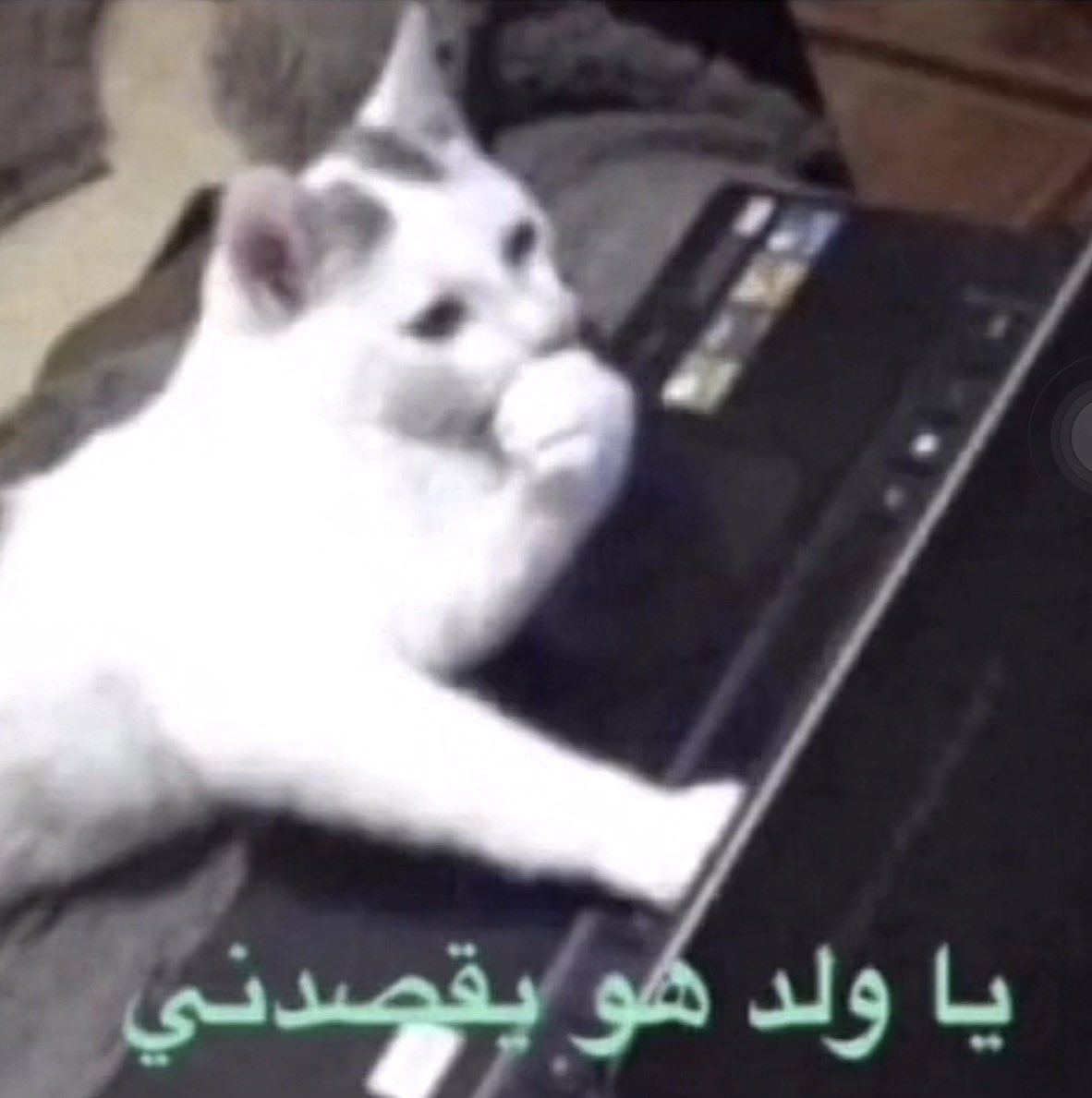 مانع tweet media