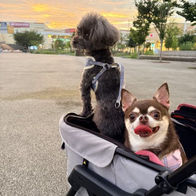 8810yatton's tweet photo. #新しいプロフィール画像 https://t.co/XZFqbSOO3i