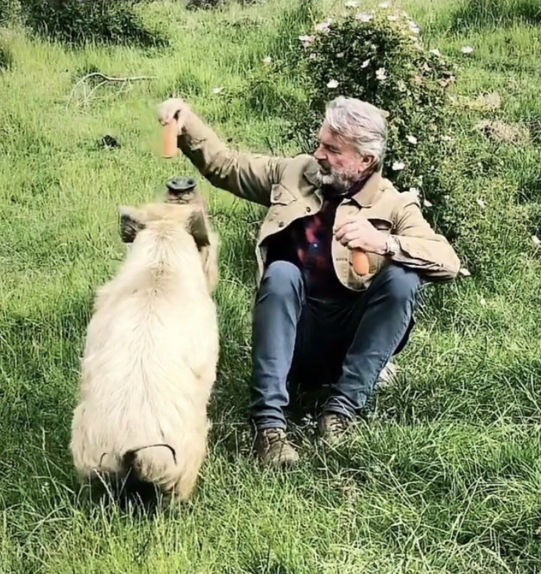 grqntt's tweet photo. sam neill i love you so much https://t.co/EeYKIqgSrr