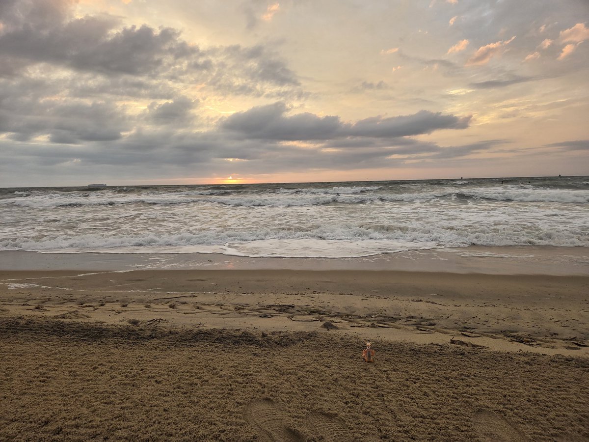 GatorKirk's tweet photo. Only those who will risk going too far can possibly find out how far one can go.  T. S. Eliot https://t.co/zHo04Zpiut