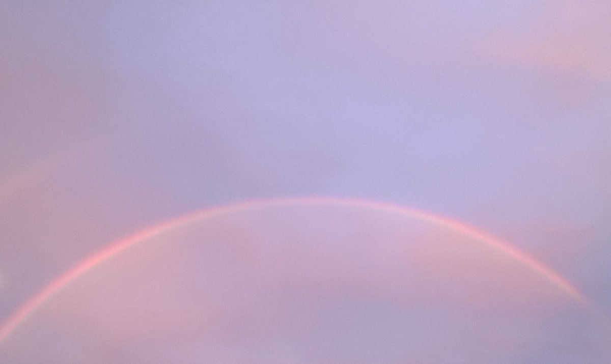 neko_blog's tweet photo. 7時ですけど・・・にじ🌈ニャう=^_^= https://t.co/MgwKa1q9hb