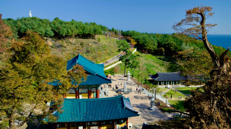 Aurora_5100's tweet photo. 막힌 운이 확 풀린다는 대한민국 사찰 TOP 5

1. 양양 낙산사 — 다시 시작할 힘이 필요할 때
2. 남해 보리암 — 큰 결정을 앞두고 있을 때
3. 팔공산 갓바위 — 간절한 소원 하나 빌고 싶을 때
4. 합천 해인사 — 복잡한 마음을 비우고 싶을 때
5. 봉화 청량사 — 얽힌 고민을 정리하고 싶을 때

꼭 미신이 아니어도 괜찮습니다.
마음이 답답할 때 좋은 곳에 가는 것만으로도
새로운 기분으로 다시 시작할 힘이 생기니까요. 🙏

여러분은 어디부터 가보고 싶으신가요?
