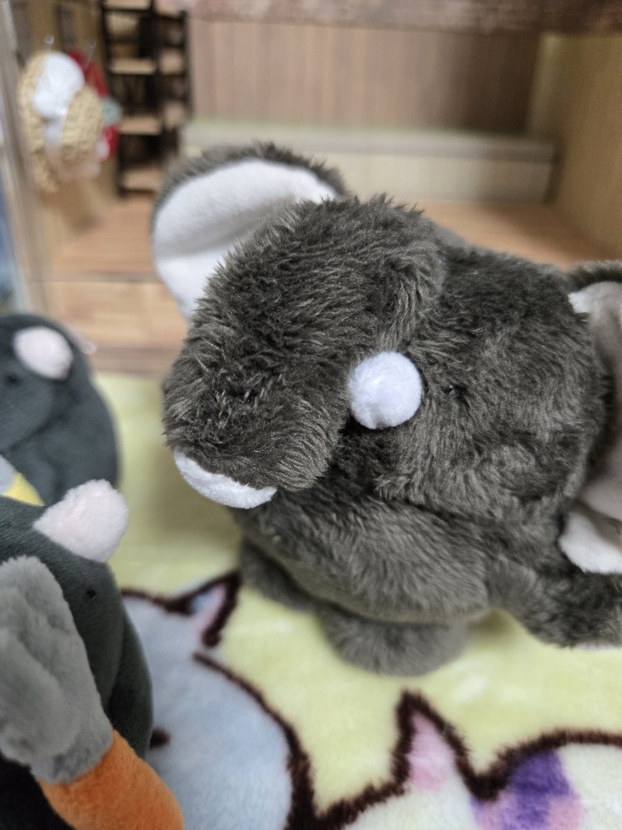sleeping_less's tweet photo. りっぱな牙もついてる！ https://t.co/GTugGcLPZ4