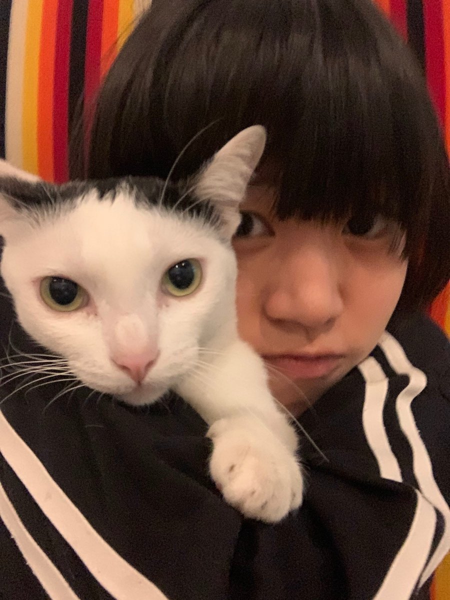 idkhtfl's tweet photo. @Courierus yasssss that my cat https://t.co/qiqcWYKKjB