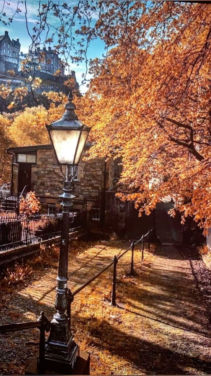 ____flowers__'s tweet photo. Would you walk this path alone or with someone special? ❤️🍁 https://t.co/f79LrAx06O