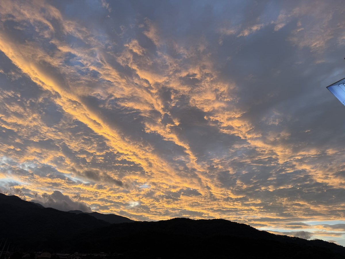 D3okarihs's tweet photo. おぉ https://t.co/fEgwgpzKpb