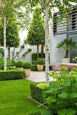 _OvalDesigns's tweet photo. People think landscaping means buying flowers.

No.

It's solving heat. Managing water. Creating shade. Making spaces enjoyable.

That's proper design

Design sustainably today 🌿 https://t.co/upUXhGP05I