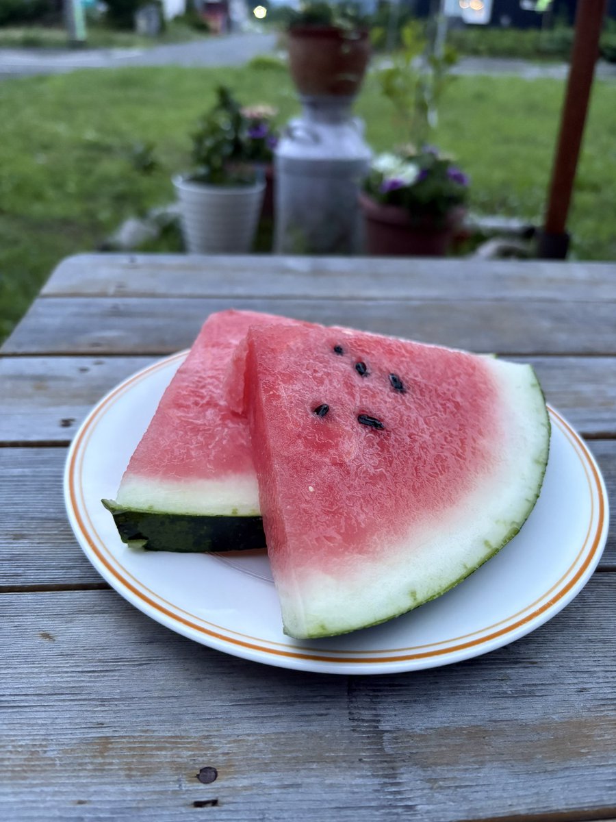 tsubasa_mps's tweet photo. 庭で夏を先取り🍉 https://t.co/ntK3Y2y0QV