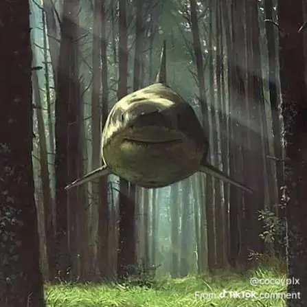 ExiledSorcery's tweet photo. ✶ — - 𝓡𝐀𝐊𝐀𝐒𝐇

I actually don't like this show. https://t.co/tVwtjpbkCv