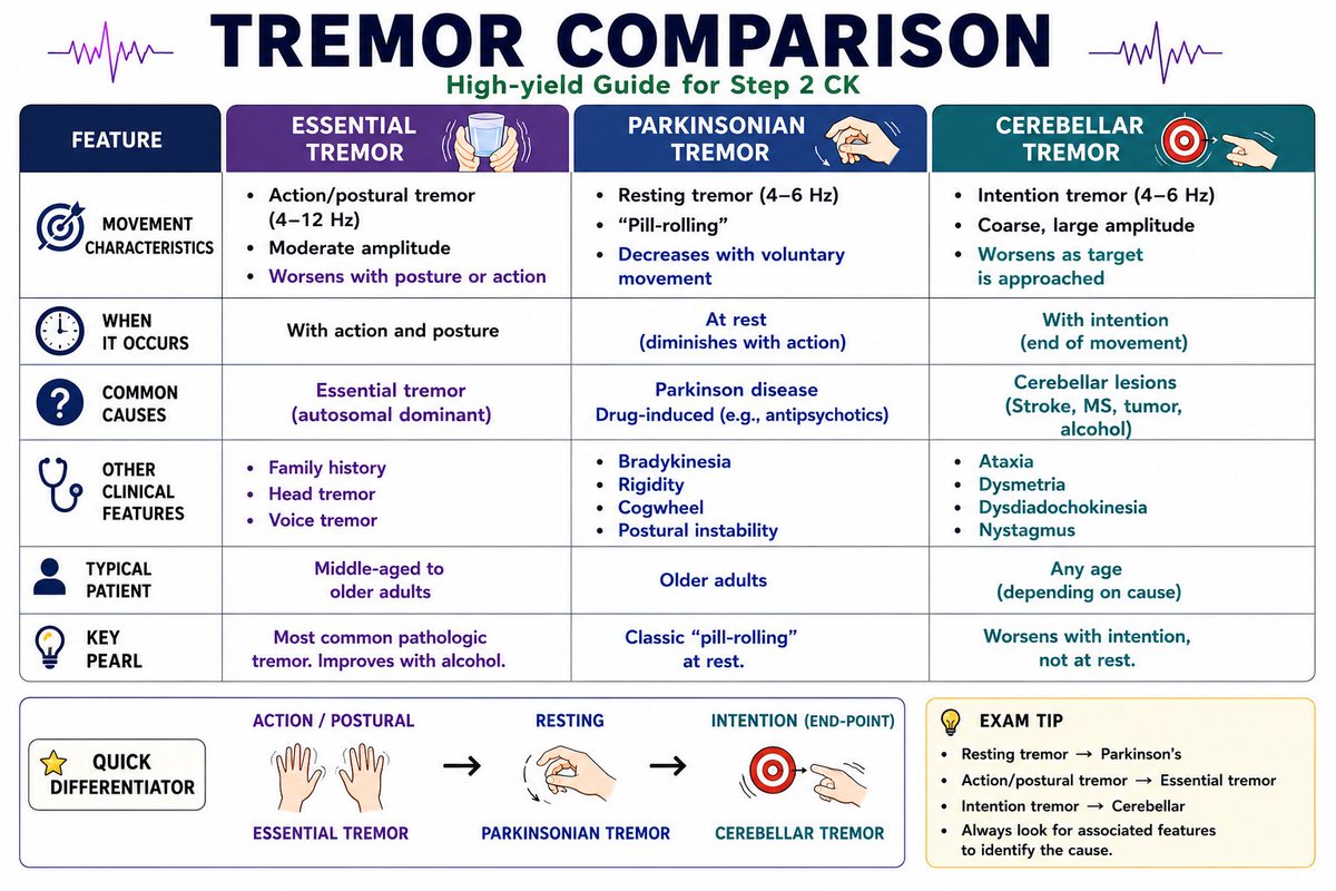 supportbrain1's tweet photo. 📌 Save this for your next Neuro revision.

Which tremor do you find most confusing? 👇

USMLE Series https://t.co/NYGlxXopaK