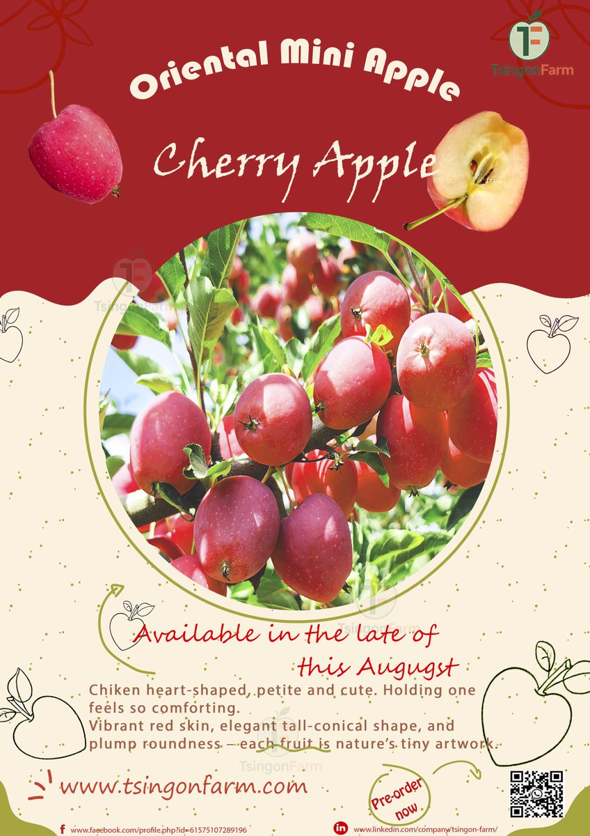 cherry