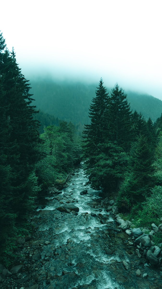 entknw's tweet photo. Nature https://t.co/1PmZY21hoD