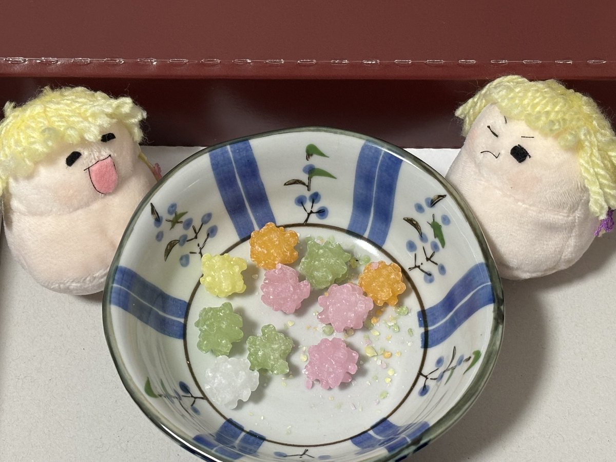 KMIF16's tweet photo. どーめきさんところからこたこちゃが届いたのぜ！！
超かわいいのぜ！！
たっぷりかわいがってやるのぜ！！ https://t.co/T7hTKuYFnX