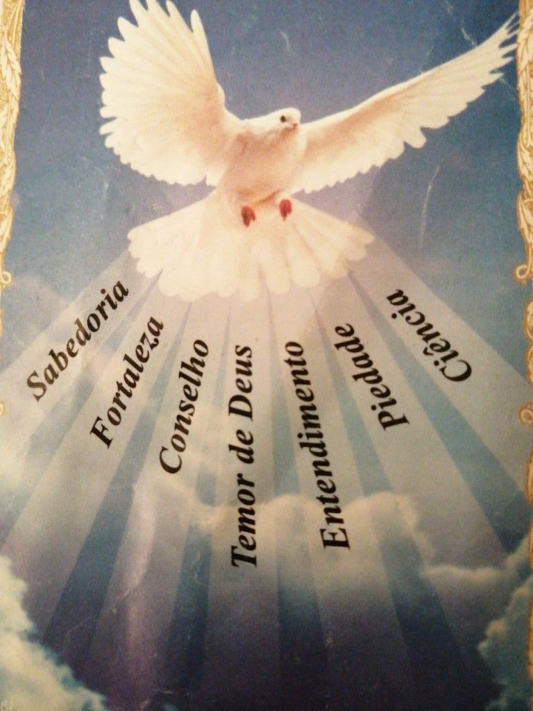 RaiosLuminosos's tweet photo. Nós vos pedimos, ó Deus, que o vosso Espírito Santo nos transforme com a força dos seus dons, dando-nos um coração capaz de agradar-vos e de aceitar a vossa vontade. https://t.co/2UB5NuuSog