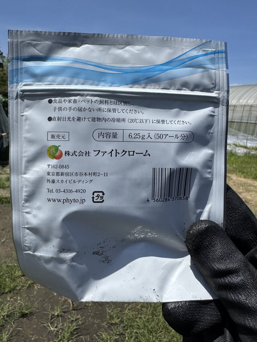 natumatazu's tweet photo. 今日びびった農業資材

面白い農業資材をたくさん作ってるファイトクローム社の営業の方と、本社の方まで来てもらっていくつか商品説明を受けました。

N-Catch 6g 50a分　1万円程度
N(窒素)をキャッチ、という事で窒素固定菌の類いで、きゅうりには関係ないと思っていたら、そうでもない模様。

葉面散布等をする事で、植物の細胞内(根ではなく、地上部)に定着し、空気中の窒素を固定し、利用可能な形に変えてくれるバクテリア。

米に使われるものだと思っていたら、キャベツや玉ねぎ、ナス等でも実験がされている模様。

メイン圃場だけでも年間数十万円の肥料を投入するので、少しでも減肥に繋がるのなら、導入してみても良いかもしれない。