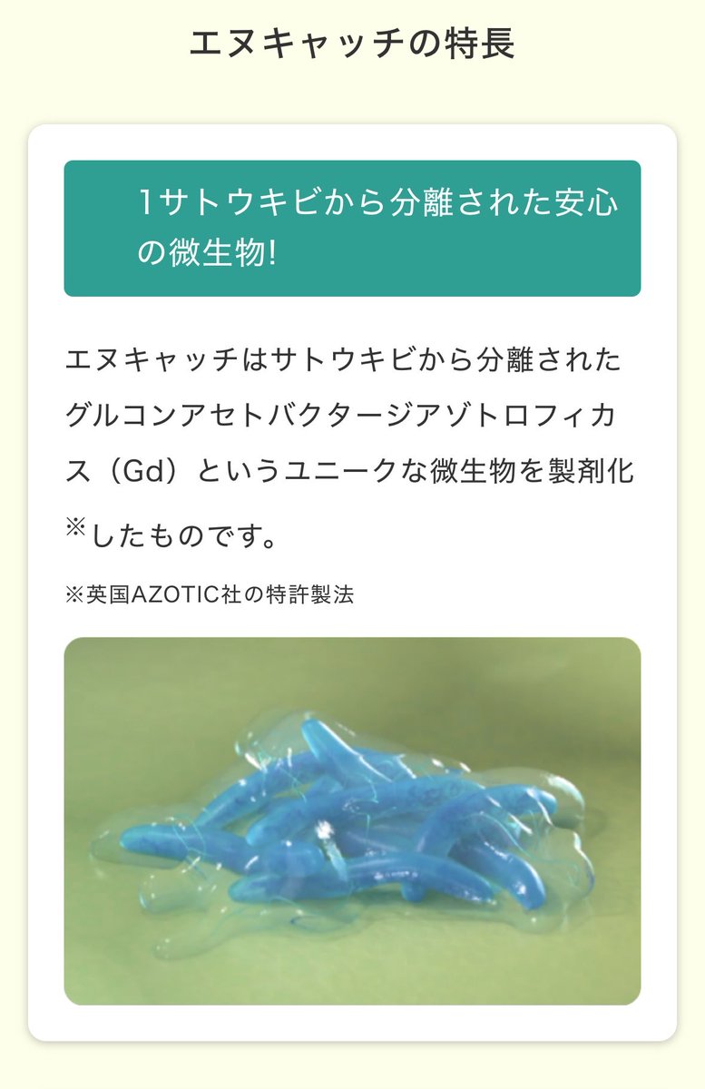 natumatazu's tweet photo. 今日びびった農業資材

面白い農業資材をたくさん作ってるファイトクローム社の営業の方と、本社の方まで来てもらっていくつか商品説明を受けました。

N-Catch 6g 50a分　1万円程度
N(窒素)をキャッチ、という事で窒素固定菌の類いで、きゅうりには関係ないと思っていたら、そうでもない模様。

葉面散布等をする事で、植物の細胞内(根ではなく、地上部)に定着し、空気中の窒素を固定し、利用可能な形に変えてくれるバクテリア。

米に使われるものだと思っていたら、キャベツや玉ねぎ、ナス等でも実験がされている模様。

メイン圃場だけでも年間数十万円の肥料を投入するので、少しでも減肥に繋がるのなら、導入してみても良いかもしれない。