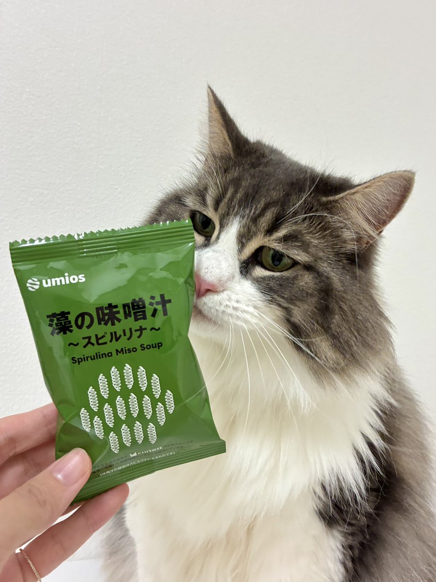 okapi1120's tweet photo. 日本館で配布されてた藻の味噌汁
気になってたから久世福で買ってみた！ https://t.co/S6xwoGbljx