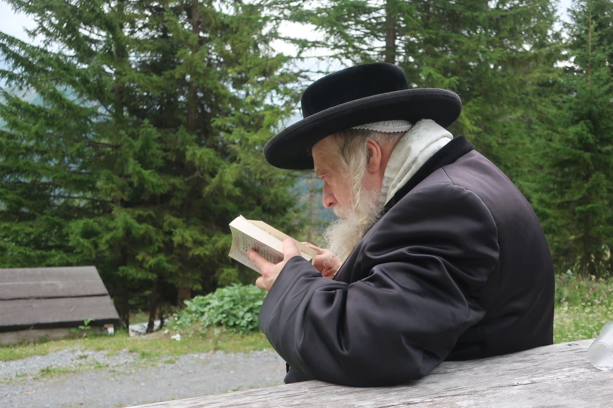 משה ויסברג tweet media