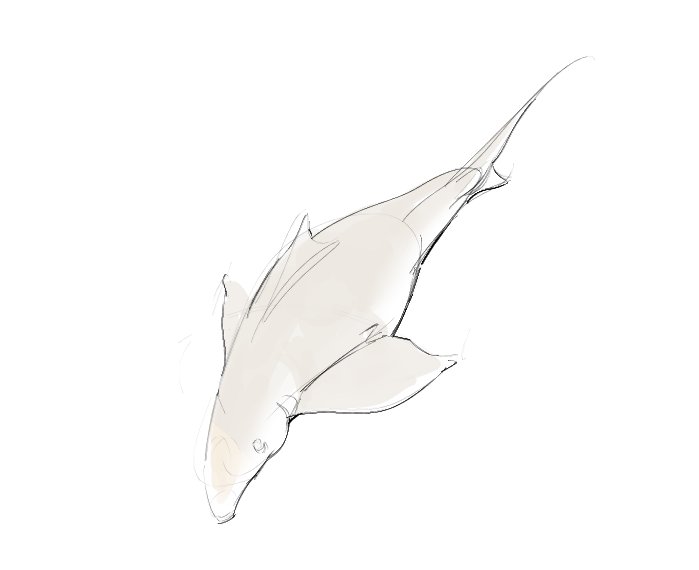 OzzeL_OzzeL's tweet photo. Porbeagle, goblin &amp; lemon https://t.co/CWBk9pnB9X