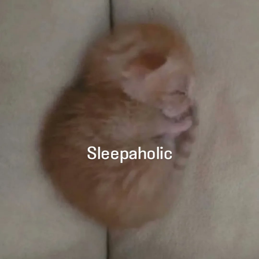 Catsillyness's tweet photo. https://t.co/W8ByGvVEuf