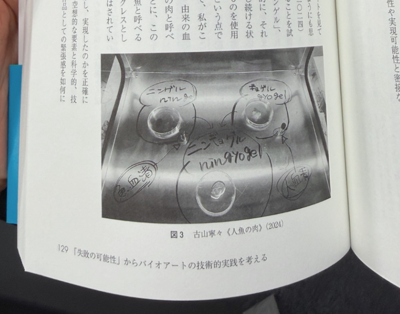shojinmeat_jp's tweet photo. 以前サポートしたバイオアート作品「人魚の肉」が書籍になりました。https://t.co/Y0nC23Qh7c https://t.co/PToQS7cGT4