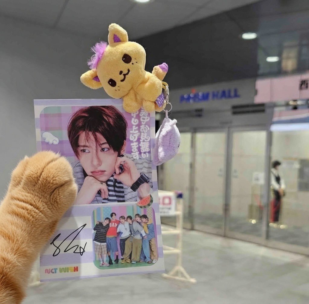 onnonlyy's tweet photo. ꒰ ⸝⸝ɞ̴̶̷ ·̮ ɞ̴̶̷⸝⸝꒱ https://t.co/YXO1ac1DL6
