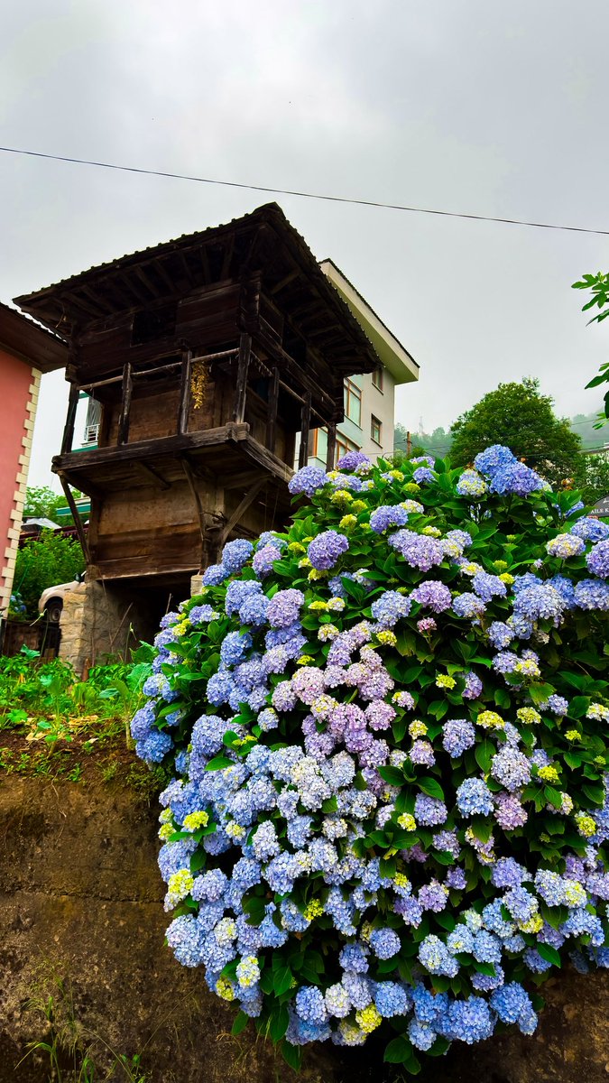 GamzeBozkayadan's tweet photo. 📍Rize Ardeşen Tunca Beldesi #tuncabeldesi #tunca #rize #karadeniz #tuncaköprüsü https://t.co/wi4a8GoLag
