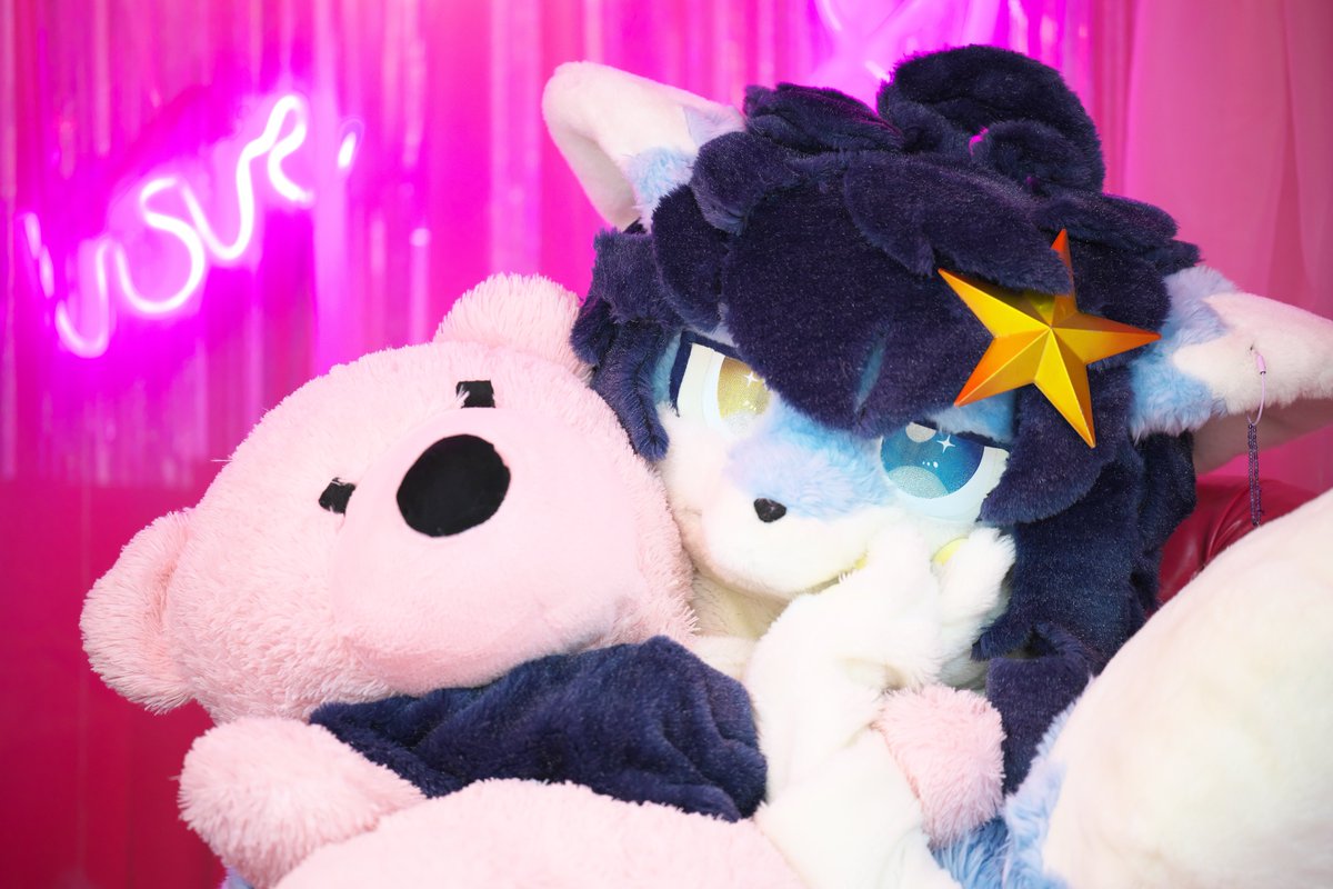 spica_stellafox's tweet photo. 今週も、かわいく元気にっ！🌟
#ケモノをみて今週もがんばりマンデー 
#ケモノフォーカス https://t.co/vUPnfmaagE
