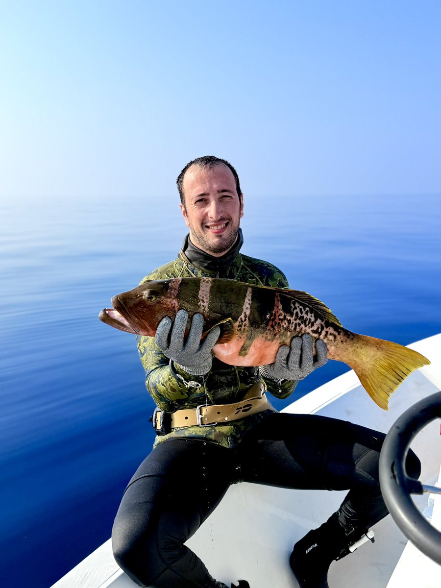 sabbatravels's tweet photo. fresh from the sea to your table. Come for a feast!
📩 Book your fishing adventure
hello@sabbatravels.com
.
.
#spearfishing #sabbabeachhotels #fishingislife #adventure #family https://t.co/wGn3tTnNdH