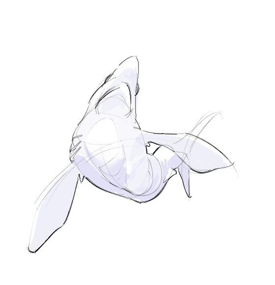 OzzeL_OzzeL's tweet photo. Porbeagle, goblin &amp; lemon https://t.co/CWBk9pnB9X