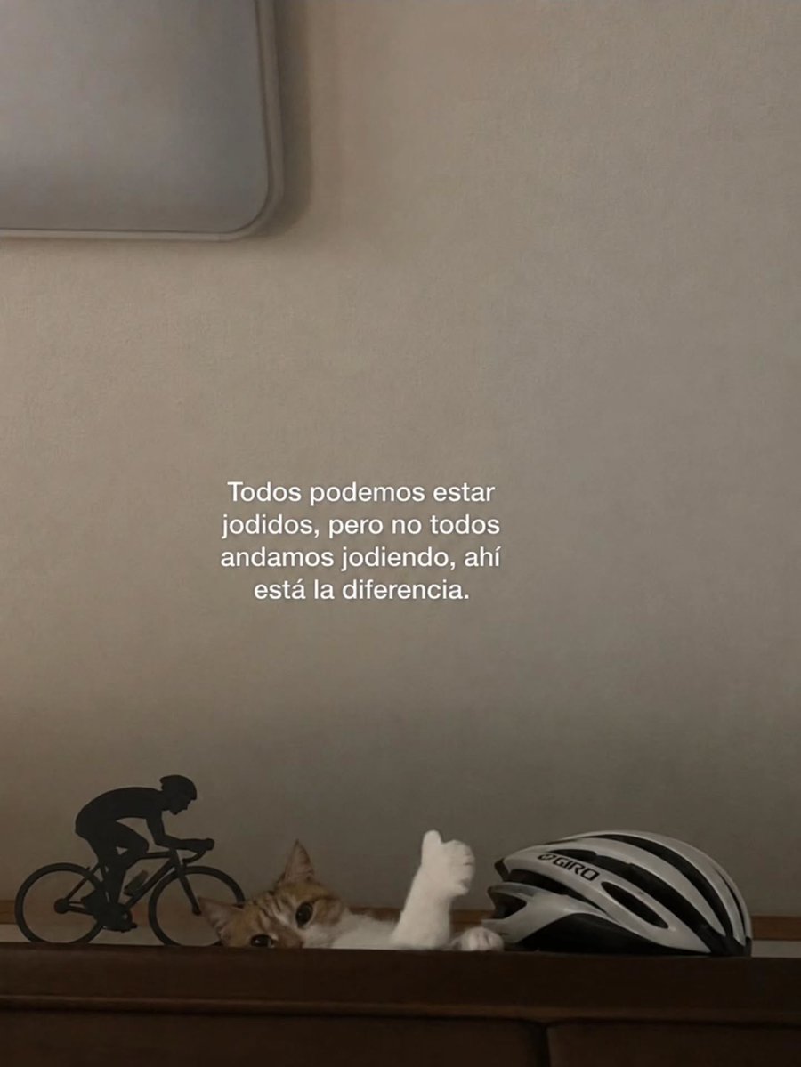EncuentrameSG's tweet photo. https://t.co/M0wdFSiw1q