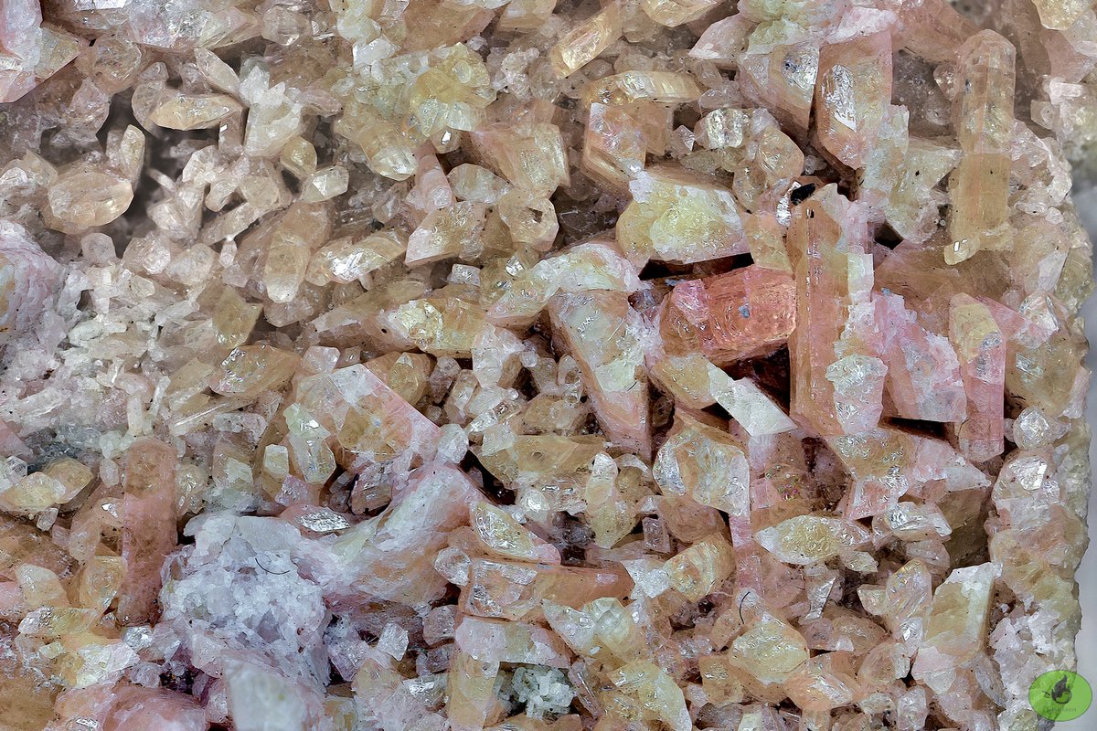 ghirrig's tweet photo. Clinozoisite (CaCa)(AlAlAl)O[Si2O7][SiO4](OH)
https://t.co/yNCHd14U6j
Laietto clinozoisite vein, Laietto, Condove, Metropolitan City of Turin, Piedmont, Italy
Field of View: 12 mm https://t.co/KnQLgf6cPn