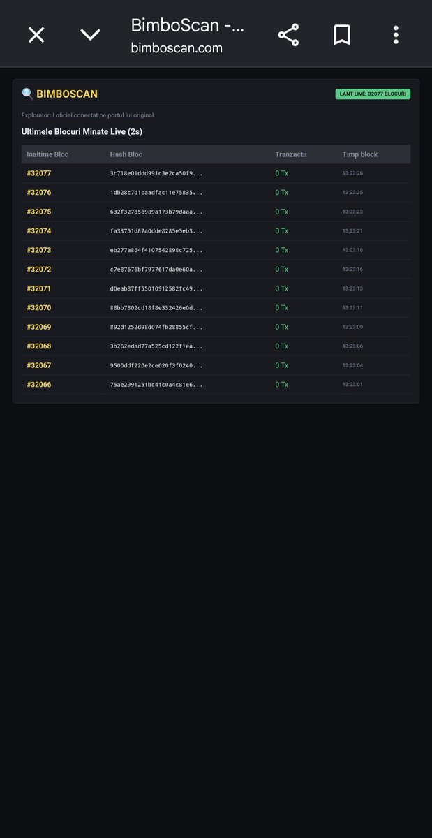 Bimbo Chain Network tweet media