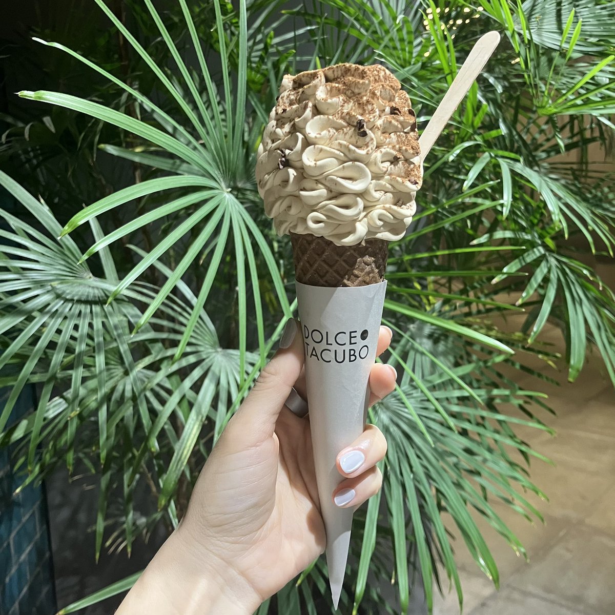 sn51's tweet photo. 2日連続のタクボさん🍦
どちらも美しく美味しい👑 https://t.co/1kqHjoLQm5