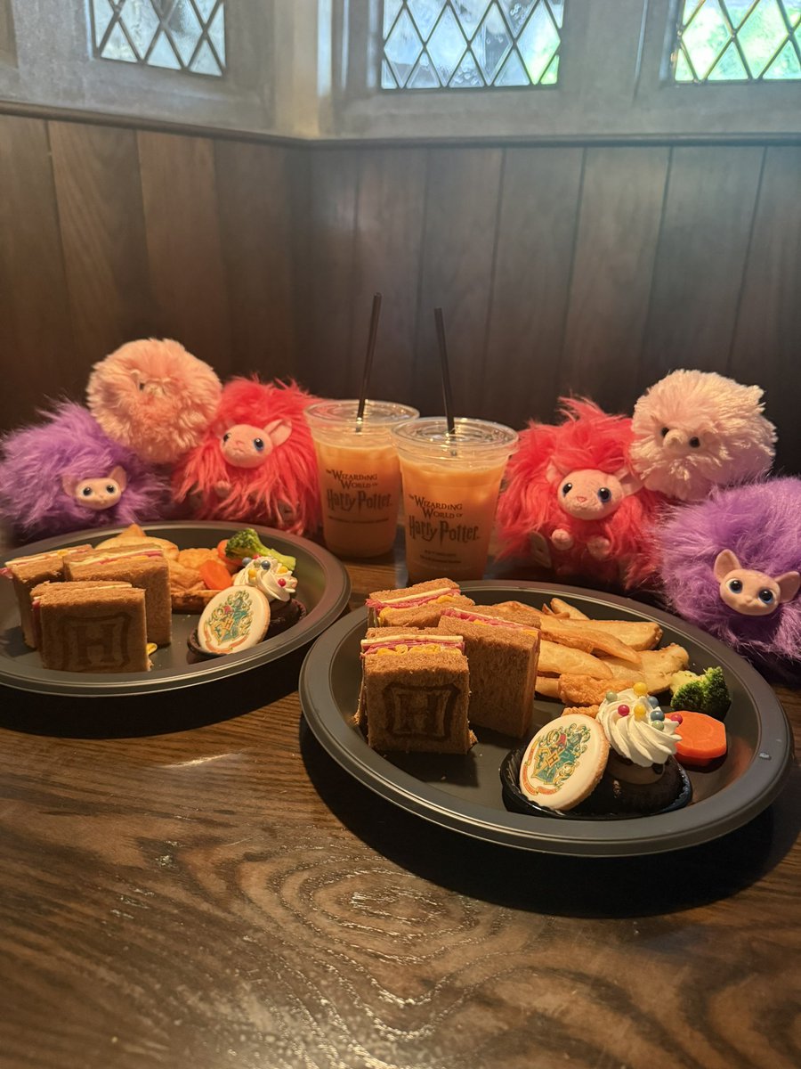 mio_weasley_'s tweet photo. 5月のとある日☀️
あやちゃんとピグミーパフ達を連れて🪄
flapperのWWWトートおそろい🧡💜 https://t.co/3U8Tliq12W