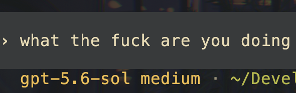 just_array0111's tweet photo. avg codex experience honestly https://t.co/CRTpVwWClb