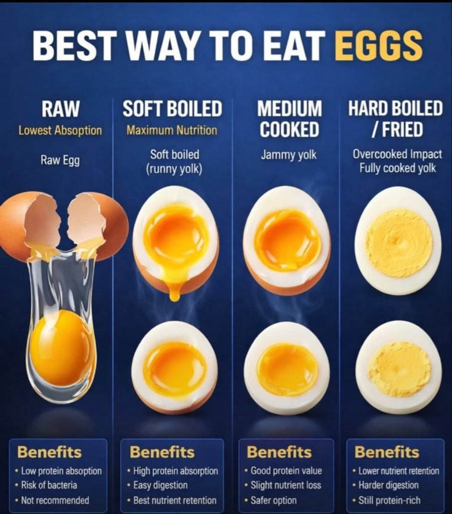 learnhealthx's tweet photo. Best way to eat eggs . https://t.co/U39nJPgqtQ