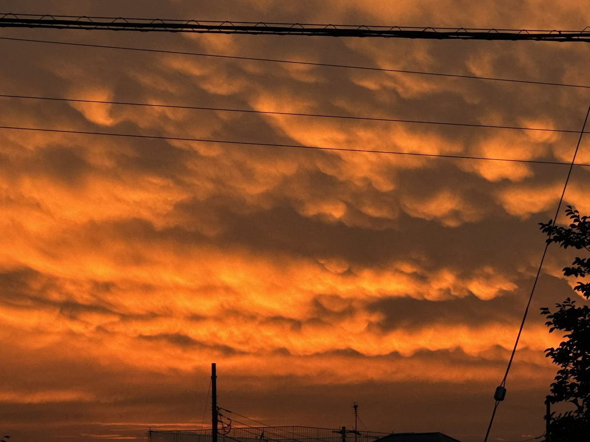 shoji_mika_2023's tweet photo. さっきまで曇天で雨降ってたのに駅降りたら夕焼けが✨
駅から歩を進めるにつれオレンジが濃くなってきた☺️
19時の空。
雨上がりで湿気は凄いけど💦
加工一切なし(当たり前です)
幻想的な色合いに感動して立ち止まって撮ってたらなんか泣けてきた😭
#creation
#GraceofGod
#sunset
#afterrain https://t.co/JqXXzpbhWz