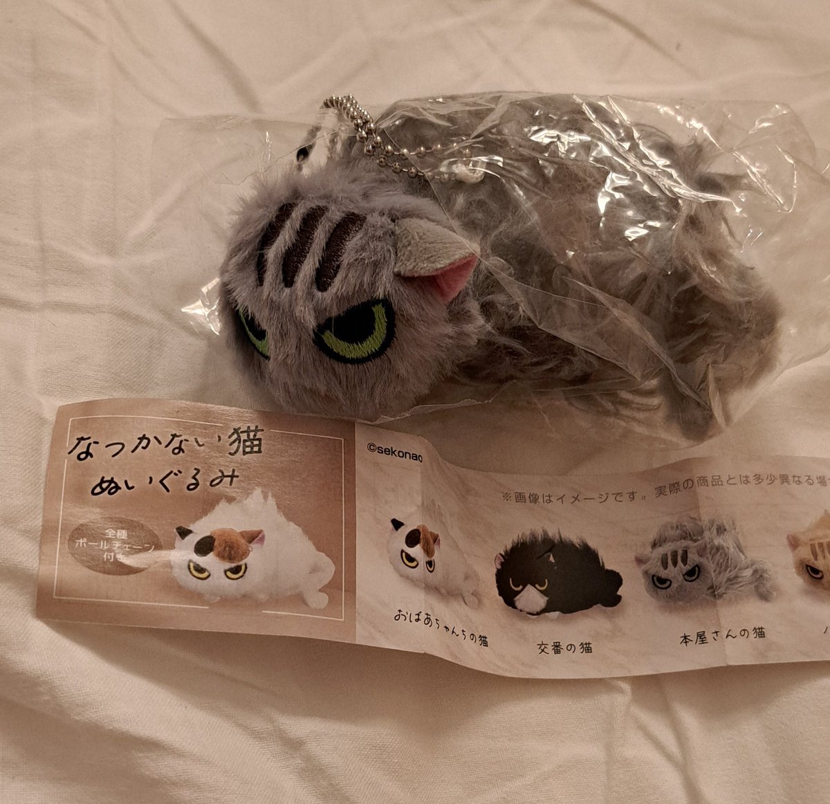 なつかない猫 衝動買いでガチャやった 500円