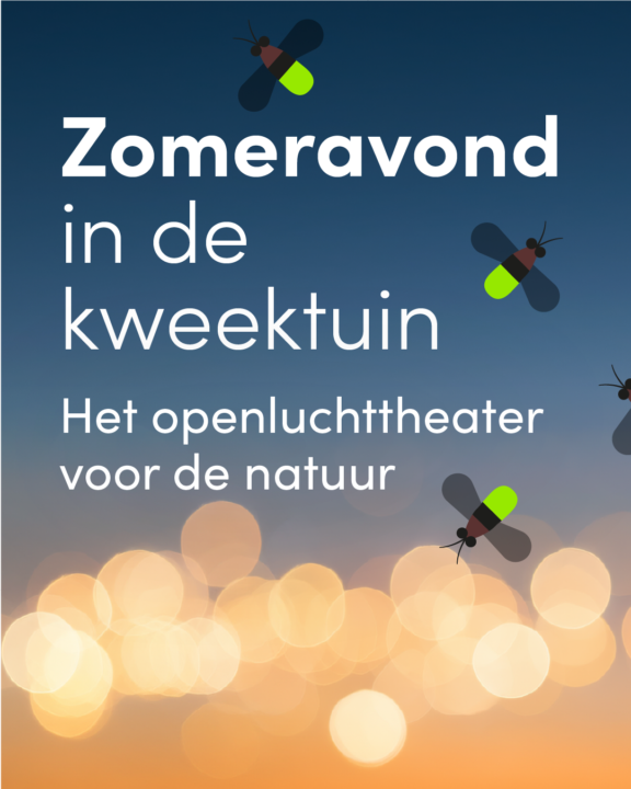 Haarlemupdates's tweet photo. Natuurfilms en picknicken in het groen: inspirerende zomeravonden in de Haarlemmer Kweektuin: Ben je op zoek naar een bijzondere manier om je zomeravonden door te brengen in eigen… https://t.co/tt2fSdkjdH #Haarlem #HaarlemmerKweektuin #Natuurtalent #Natuurfilms #picknicken https://t.co/sPzESSqeF2