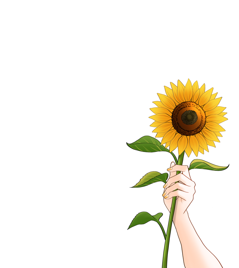 とっても綺麗な1輪の向日葵はこちらからお借りしました🌻 愛が込め