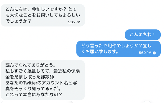 はしうめページ 他の方の購入不可 ⚠️引用元と全く同じ流れの詐欺DMが来ました。 Xプレミアムをして