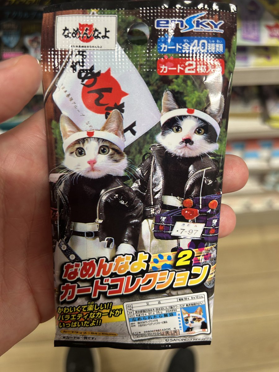 I adore these badass Kitty cat bosozuka trading cards!!! I often