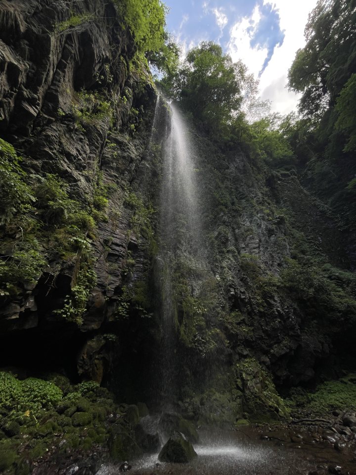 buraneta's tweet photo. 昨日実録の鳥取遠征、撮影37箇所！１日で回れる限界💦

中蒜山オートキャンプ場
下蒜山登山口
蒜山やつか温泉快湯館
道の駅 犬挟
関の湯共同温泉
延命茶屋
せきがね湯命館
倉吉フィギュアミュージアム
満正寺
米澤たい焼店
倉吉白壁土蔵群
なしっこ館
いのよし
道の駅 ほうじょう
以下コメントへ https://t.co/vTrzYquXqo