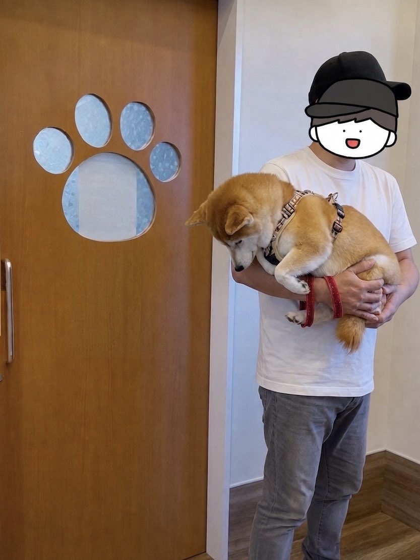 momonosekaiii's tweet photo. 診察室から聞こえる仲間の声を聞きながら悪い想像ばかりしちゃう次呼ばれる犬 https://t.co/4oNjVyitX7